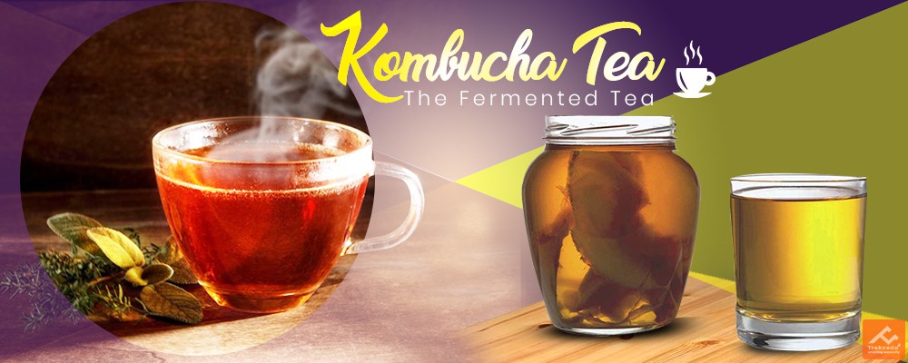 Kombucha Tea - The Fermented Tea