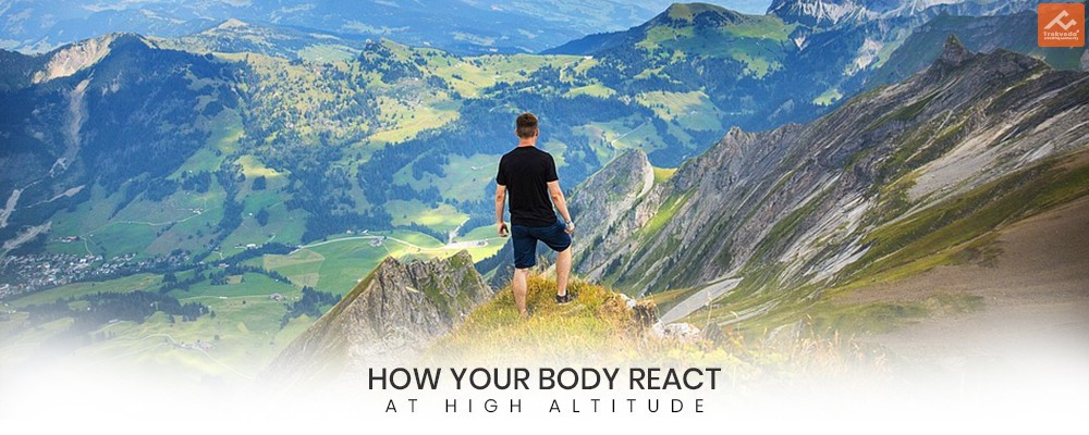 How your Body React at High Altitude