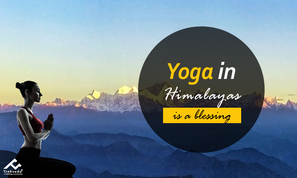 Yoga in the Himalayas is a Blessing