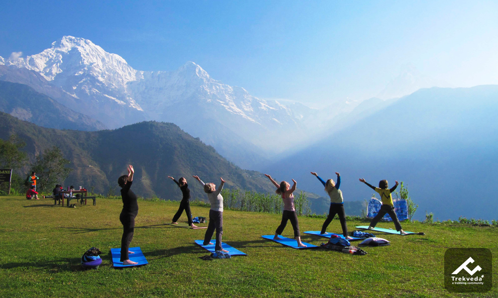 Another yoga pose