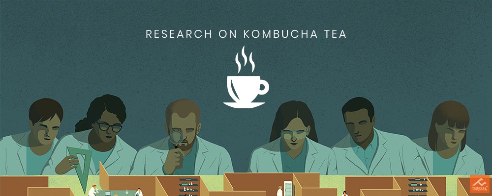 Disease Curing Research on Kombucha