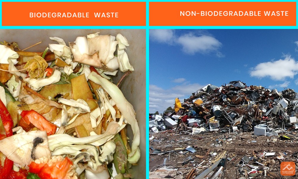 5-smart-ways-to-use-biodegradable-waste-to-help-the-environment