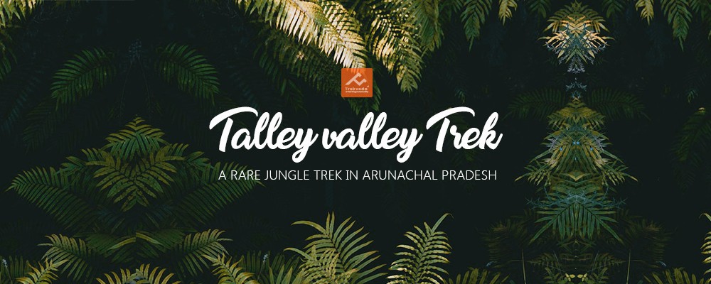 Talley valley Trek